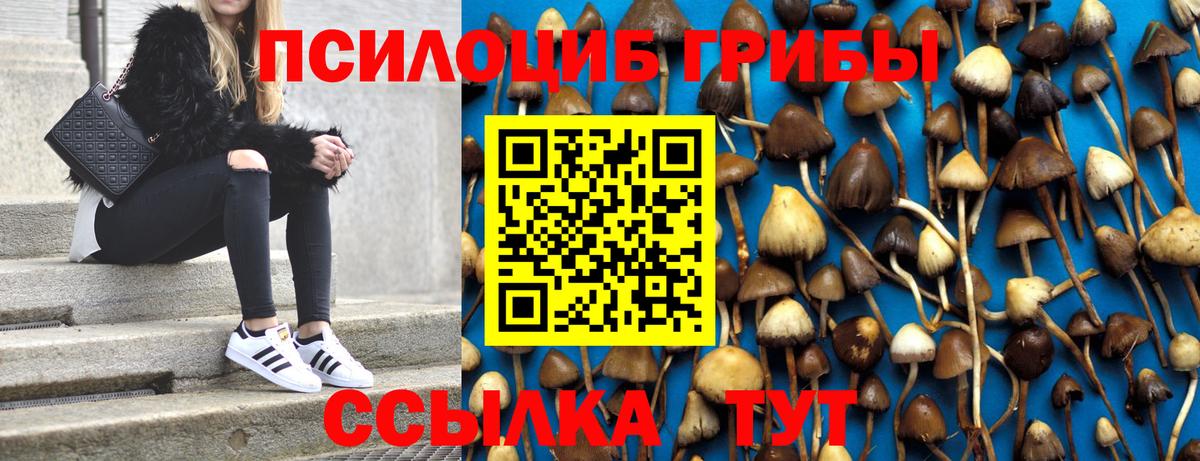 Псилоцибиновые грибы Magic Shrooms  Псилоцибиновые грибы прущие грибы  Вход с VPN  Асино 