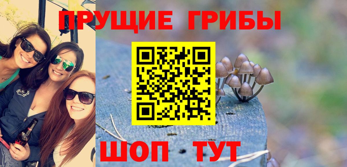 Псилоцибиновые грибы мухоморы Асино