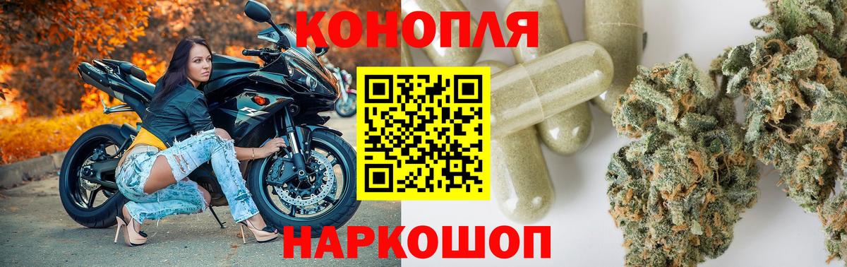 Асино  Бошки Шишки гибрид  Канабис ГИДРОПОН  Вход с VPN  МАРИХУАНА тримм  Шишки марихуана гибрид 